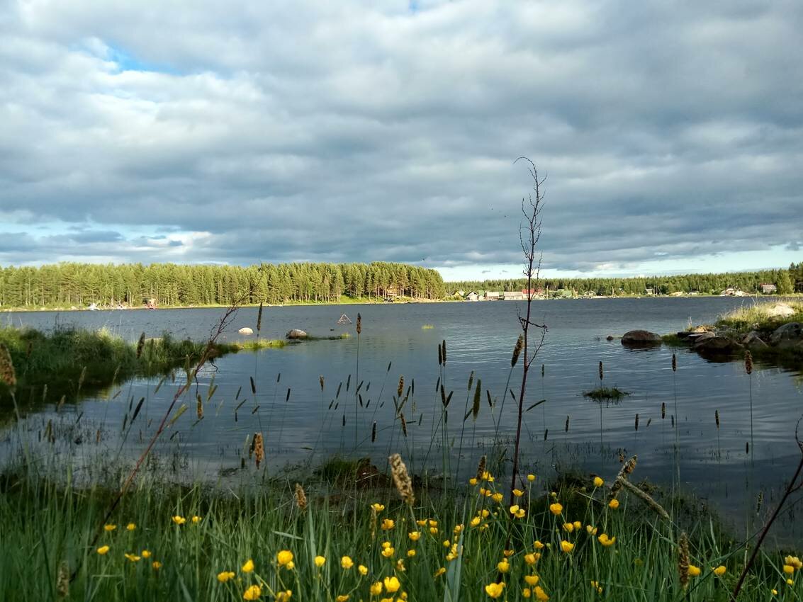 Белое море на парусном катамаране