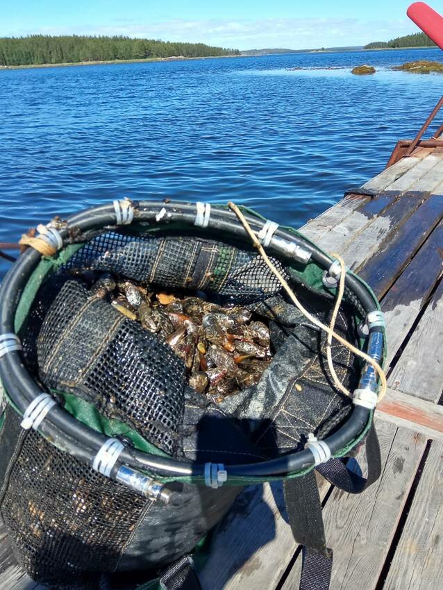 Белое море на парусном катамаране