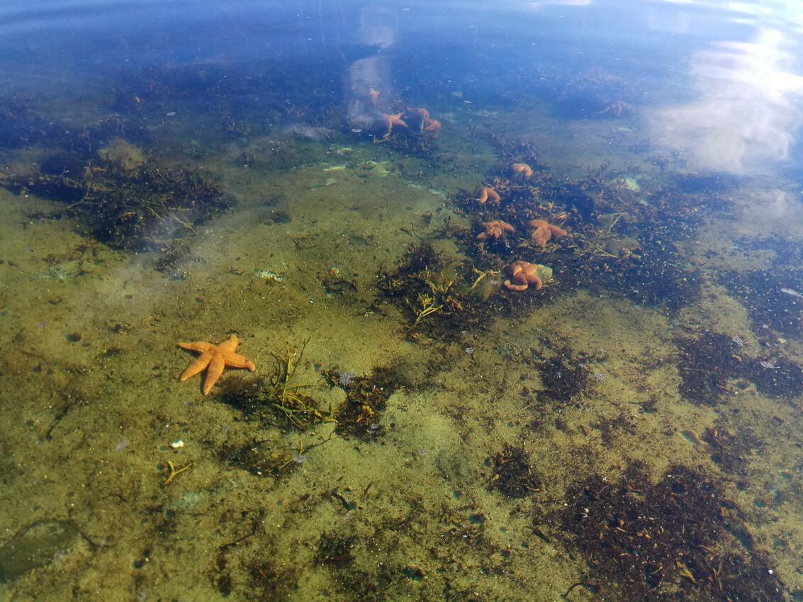 Белое море на парусном катамаране