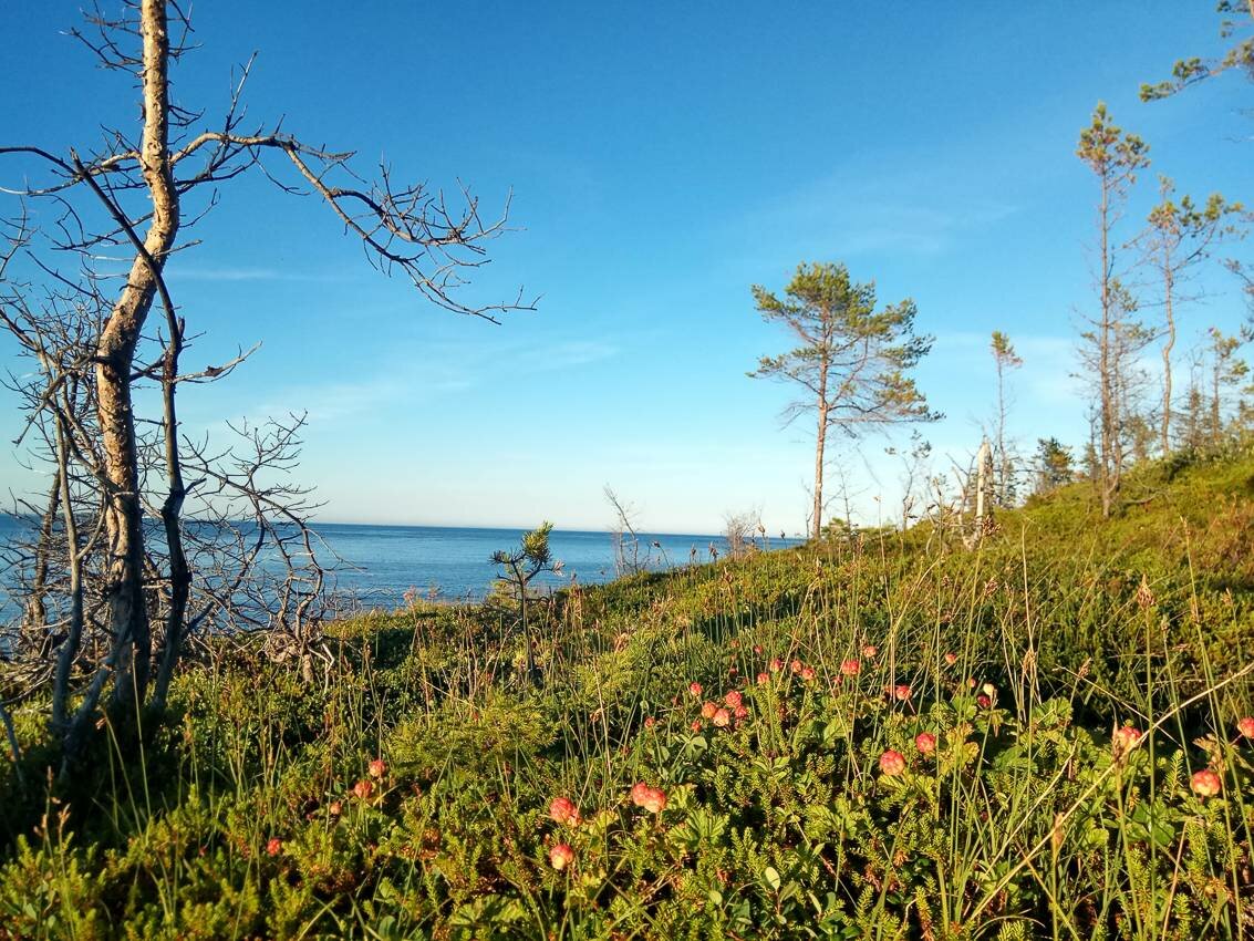 Белое море на парусном катамаране