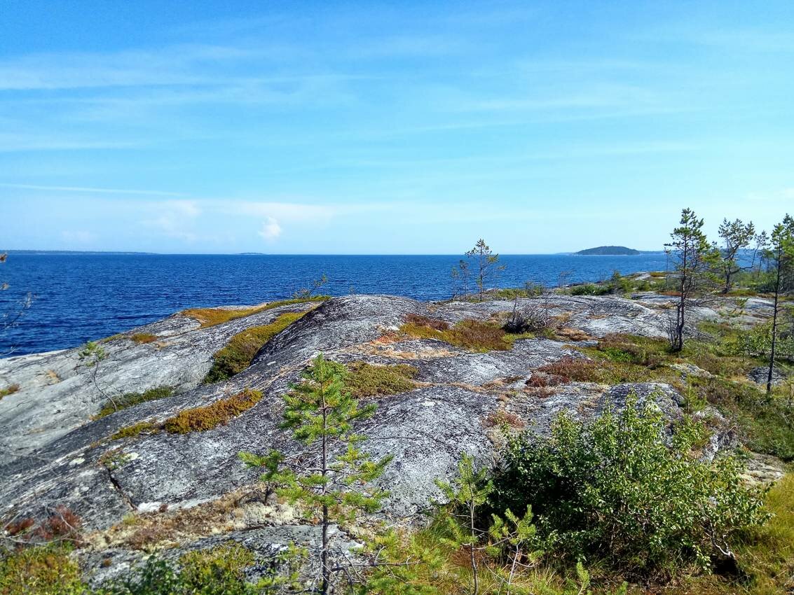 Белое море на парусном катамаране