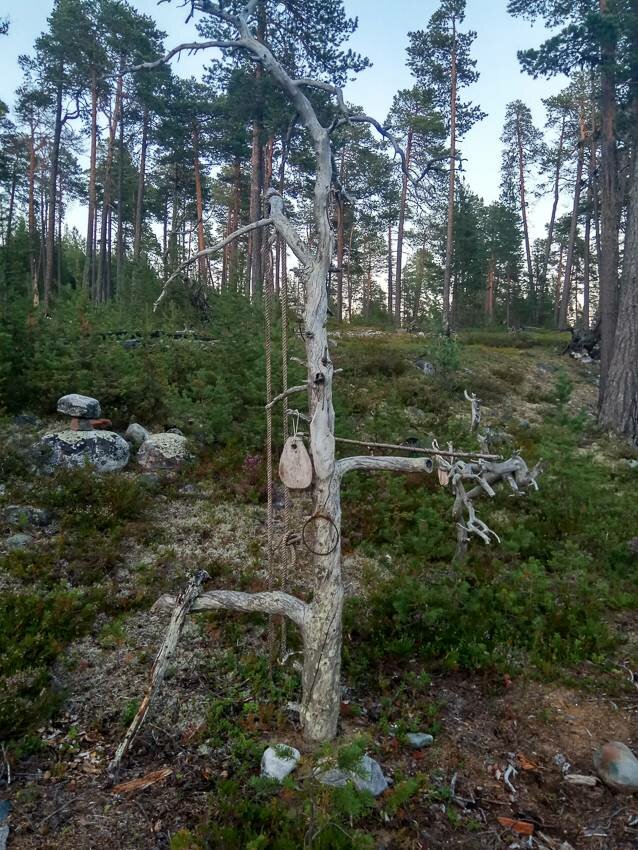 Белое море на парусном катамаране