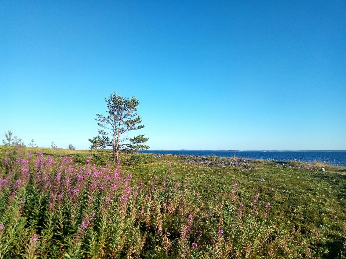 Белое море на парусном катамаране
