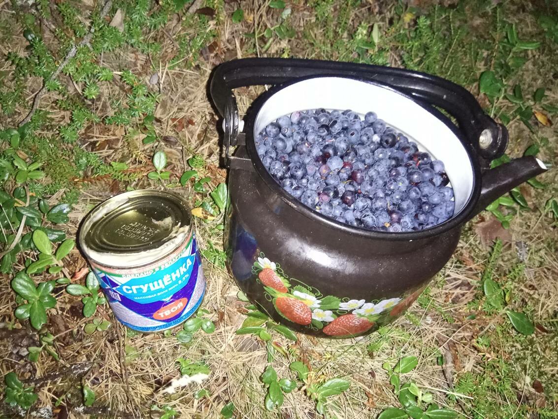 Белое море на парусном катамаране