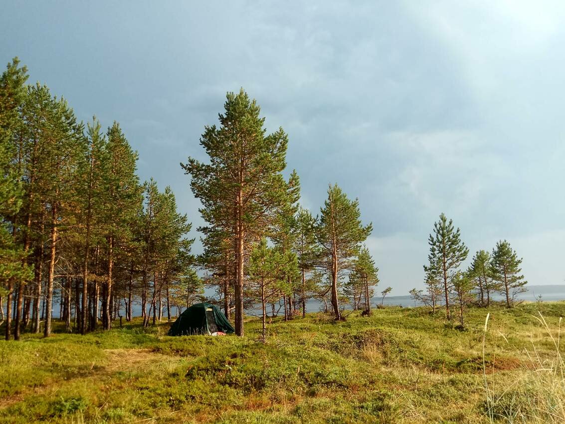 Белое море на парусном катамаране