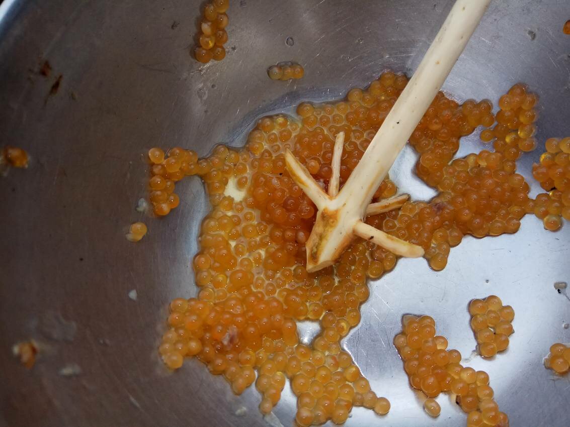Белое море на парусном катамаране