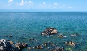 Ушканьи острова, байкальская нерпа
