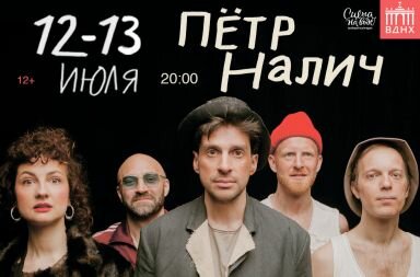Концерт Петра Налича