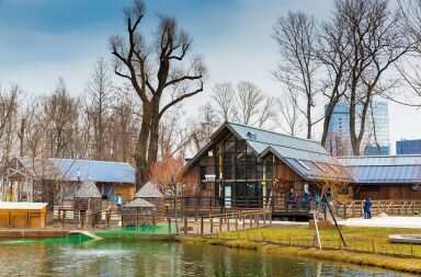 «Городская ферма» ВДНХ приглашает на Дни овсянки
